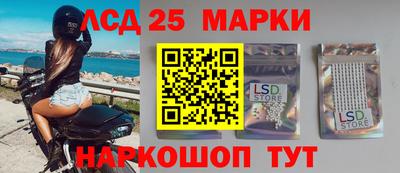 apvp Моздок