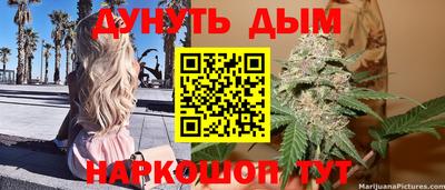 apvp Моздок